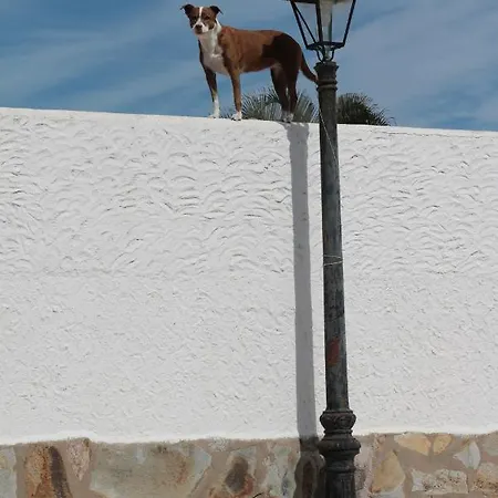 Golf View - Stunning Ocean View Golf Del Sur Apartament